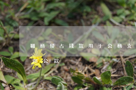 職務侵占錢款用于公務支出(侵占公款罪和挪用公款)