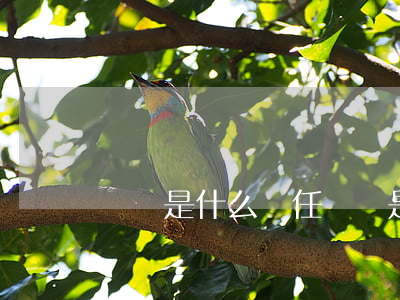 職務是什么(擬任職務是什么)