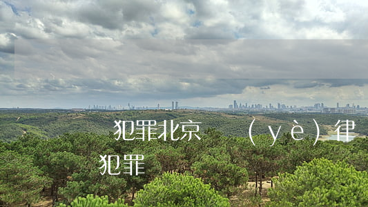 職務犯罪北京專業(yè)律師(北京律師 職務犯罪)