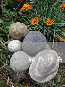 職務行為欠錢起訴(利用職務借款不還)