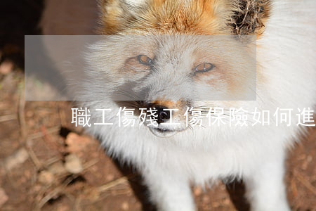 職工傷殘工傷保險如何進行賠償?