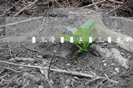 職工受傷認定為工傷要哪些條件