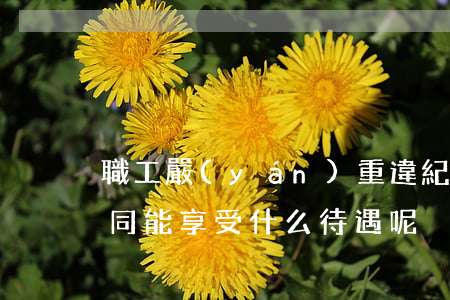 職工嚴(yán)重違紀(jì)被解除合同能享受什么待遇呢
