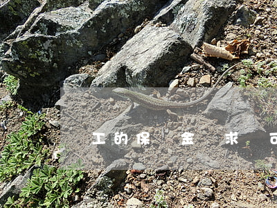 職工的“保險金請求權”可否協(xié)議轉讓