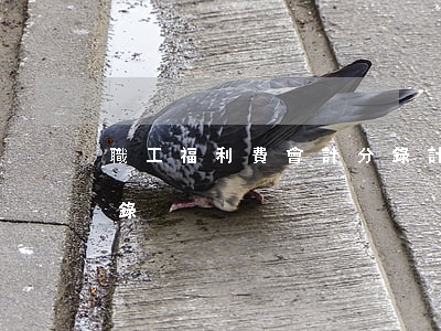 職工福利費會計分錄(計提職工福利費會計分錄)