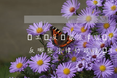 職工違反國家法律法規(guī)(職工違反哪些法律,行政法規(guī)規(guī)定,企業(yè)開除或解除其勞動合同時不需)