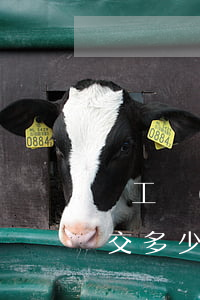 職工養(yǎng)老保險(xiǎn)得交多少年