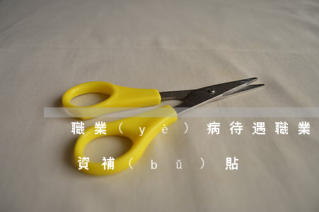職業(yè)病待遇(職業(yè)病待遇工資補(bǔ)貼)