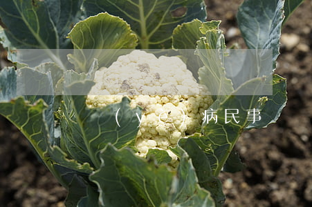 職業(yè)病民事賠償需要仲裁嗎