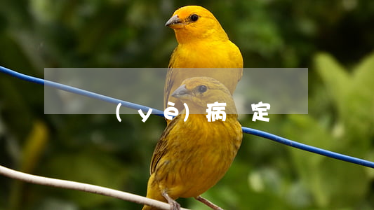 職業(yè)病鑒定