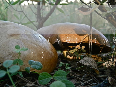 職業(yè)衛(wèi)生三同時(shí)