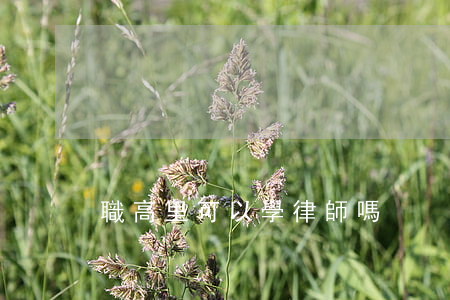 職高里可以學律師嗎