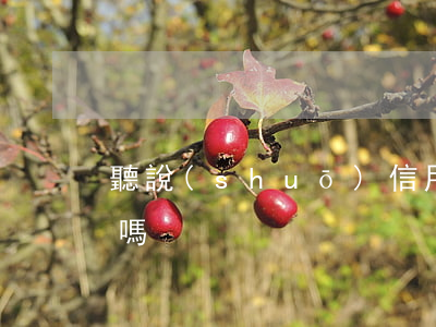 聽說(shuō)信用卡逾期不上征信了是嗎