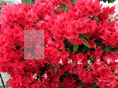 聽證會是什么意思 有哪些程序（聽證會有哪些程序）