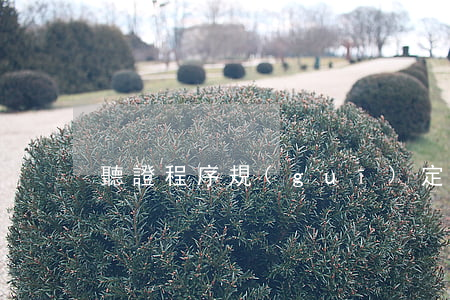 聽證程序規(guī)定