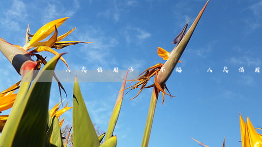 聾人欠信用卡還不起(聾人欠信用卡還不起)