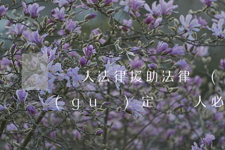聾啞人法律援助法律規(guī)定(法律規(guī)定聾啞人必須有監(jiān)護(hù)人)
