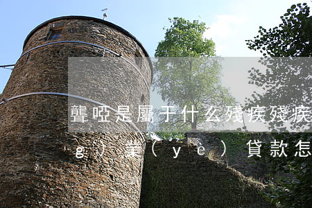 聾啞是屬于什么殘疾（殘疾人創(chuàng)業(yè)貸款怎么申請）