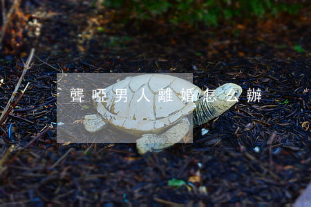 聾啞男人離婚怎么辦