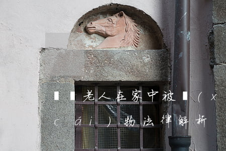 聾啞老人在家中被學(xué)生搶奪財(cái)物法律解析