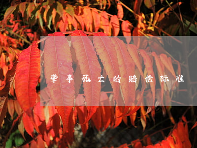 肇事死亡的赔偿标准