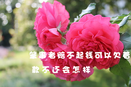 肇事者赔不起钱可以欠着吗(欠交通事故赔偿款不还会怎样)