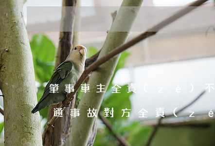 肇事車主全責(zé)不給錢看病怎么辦(交通事故對方全責(zé)不給錢怎么辦)