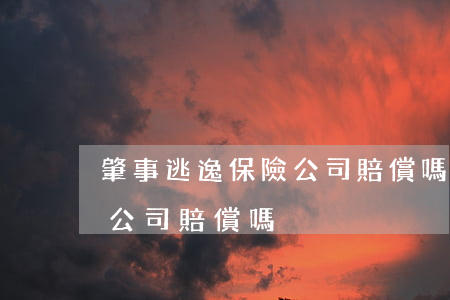 肇事逃逸保險公司賠償嗎(駕車肇事逃逸保險公司賠償嗎)