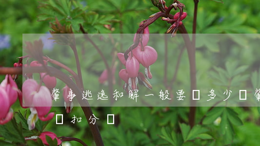 肇事逃逸和解一般要賠多少錢(肇事逃逸和解還扣分嗎)