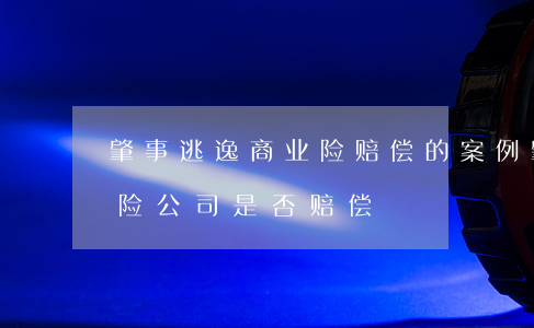 肇事逃逸商业险赔偿的案例(肇事逃逸商业保险公司是否赔偿)