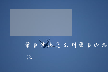 肇事逃逸怎么判(肇事逃逸怎么判責(zé)任)