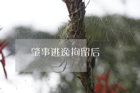 肇事逃逸拘留后還賠嗎
