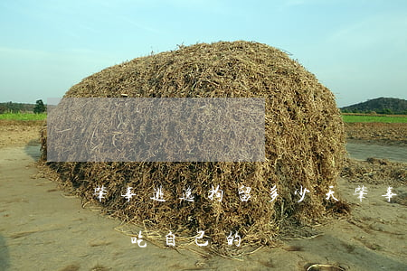 肇事逃逸拘留多少天(肇事逃逸拘留多少天吃飯吃自己的嗎)