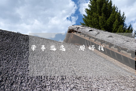 肇事逃逸無牌好找嗎