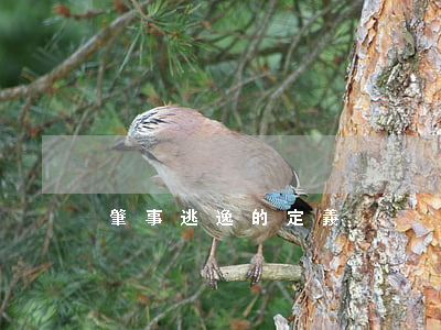 肇事逃逸的定義