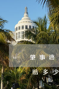 肇事逃逸私了一般赔多少钱(交通肇事逃逸索赔多少合适)