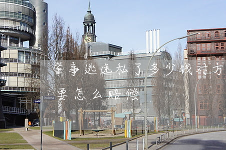 肇事逃逸私了多少钱(对方肇事逃逸要求私了要怎么赔偿)