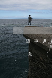 肇事逃逸致人死亡要找律師嗎(肇事逃逸律師免費(fèi)咨詢)