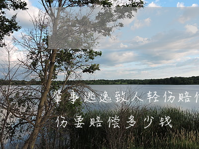 肇事逃逸致人轻伤赔偿三万(肇事逃逸致人受伤要赔偿多少钱)