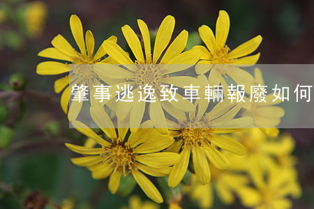 肇事逃逸致車輛報廢如何賠償