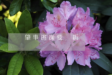 肇事逃逸要賠折舊費嗎