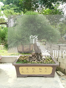 肇慶債務逾期停息掛賬有哪些方式-肇慶債務逾期停息掛賬有哪些方式呢