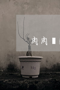 肉肉貸款逾期怎么辦(肉肉貸款逾期怎么辦)