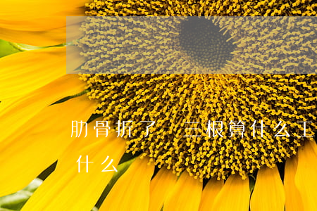 肋骨折了兩三根算什么工傷(肋骨折了五根算什么傷)