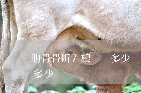 肋骨骨折7根賠償多少錢(肋骨骨折一根能賠多少)