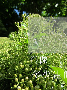 肖像權(quán)案件律師費(fèi)多少(告他人侵犯肖像權(quán)一般要多少錢)