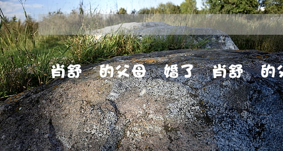 肖舒彧的父母離婚了嗎(肖舒彧的父母離婚了嗎)
