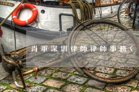 肖軍深圳律師(律師事務(wù)所 深圳)