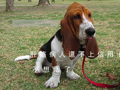 肝癌病人還不上信用卡了怎么辦-得了肝癌不想活了