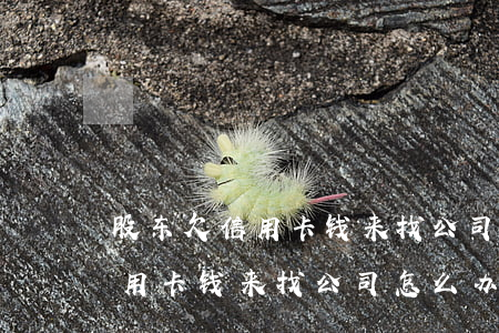 股东欠信用卡钱来找公司怎么办-股东欠信用卡钱来找公司怎么办理